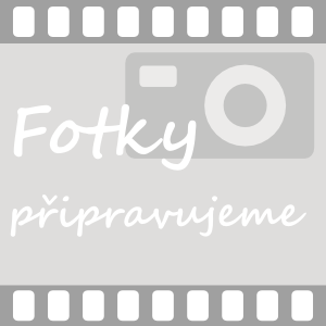 Dámská kožená kabelka Domina A4