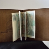 Pánská kožená peněženka dolarka